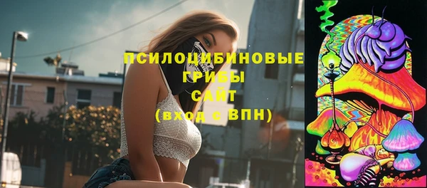ПСИЛОЦИБИНОВЫЕ ГРИБЫ Алексин