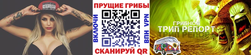 гидра зеркало  Брянск  Псилоцибиновые грибы мицелий 